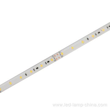 SMD2835 30 LEDs/M IP65 waterproof strip